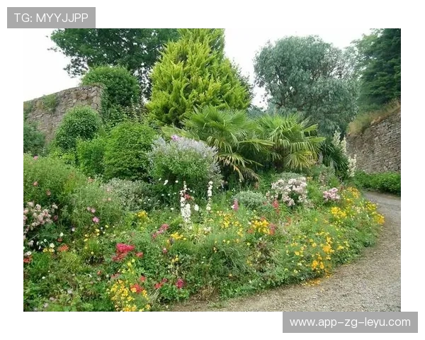 -¦-_¼¦¦¦+¥ÍãϦÔú¼-¤+++-ªð¯-㦲Àó